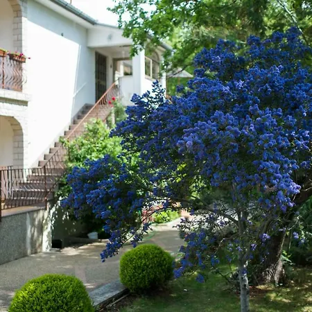 Apartament Dani Malinska
